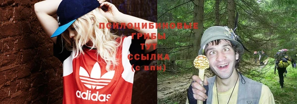 эйфоретик Пестово