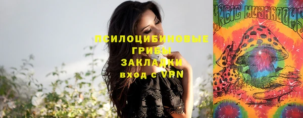 первитин Пересвет
