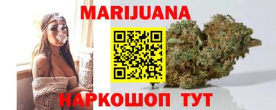 Альфа ПВП Дубна