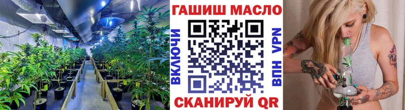 закладка  Майкоп  mega   Дистиллят ТГК концентрат 