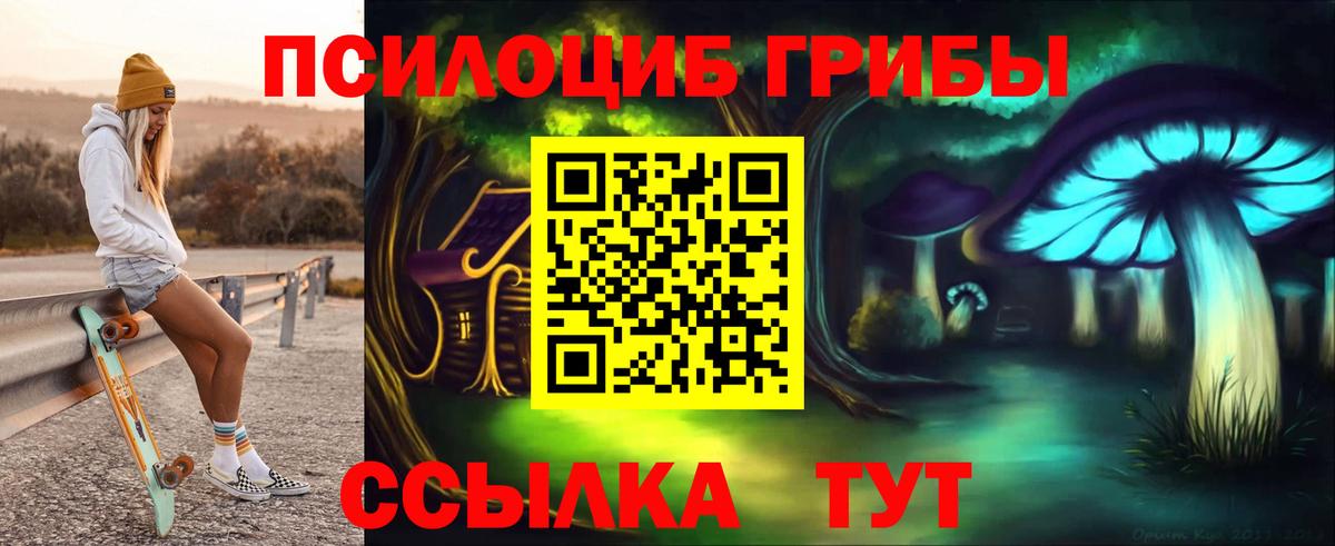 Майкоп  Псилоцибиновые грибы Psilocybe  Вход с VPN 